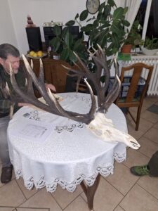 Bild1