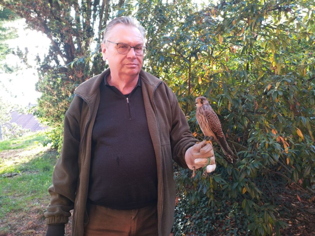 Rainer mit seinem Falken